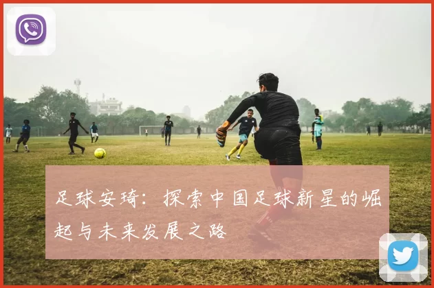 足球安琦：探索中国足球新星的崛起与未来发展之路
