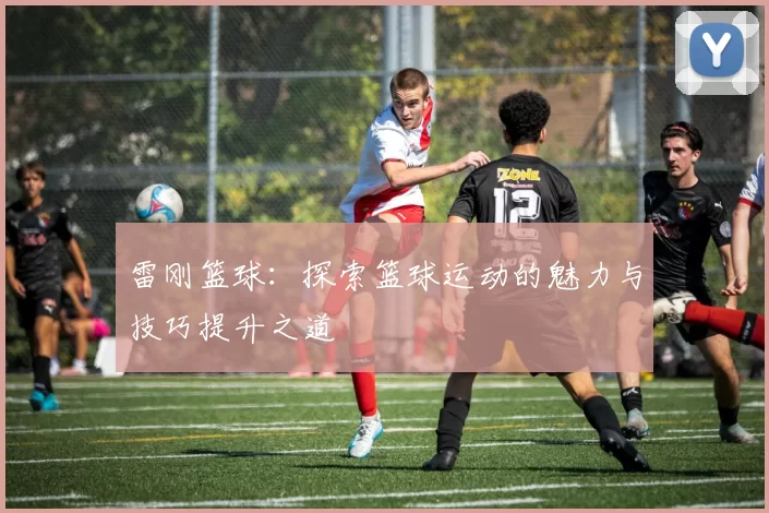 雷刚篮球：探索篮球运动的魅力与技巧提升之道