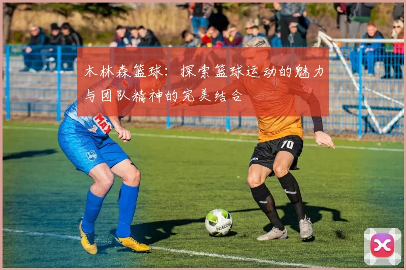 木林森篮球：探索篮球运动的魅力与团队精神的完美结合
