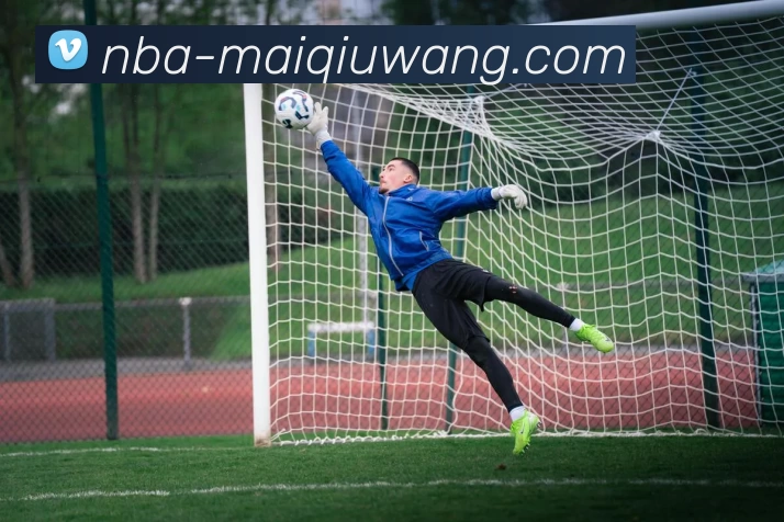 即时滚球盘追踪APP 封面图